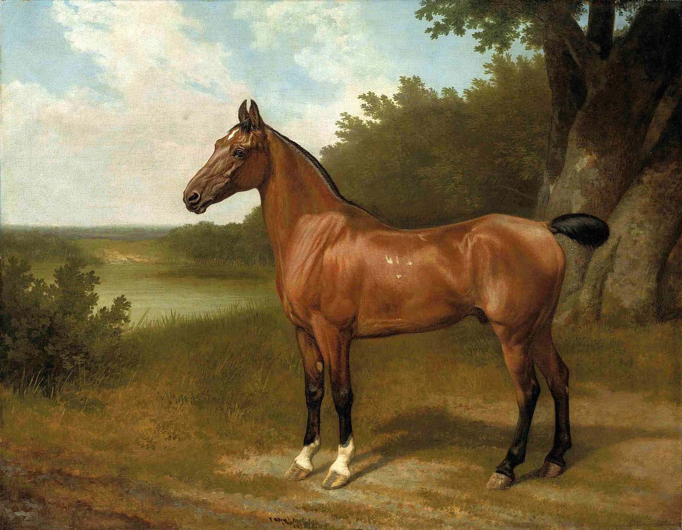 lord bingley's hunter